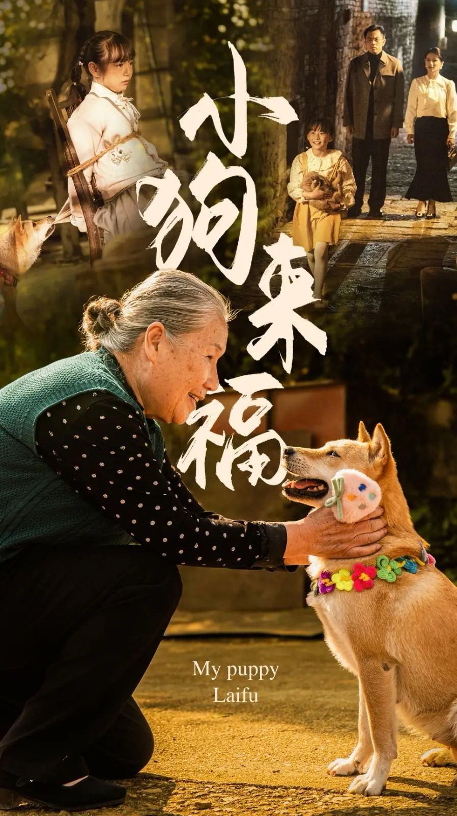 《小狗来福》：萌化你的心！一条小狗的治愈之旅，让你重新相信爱与陪伴