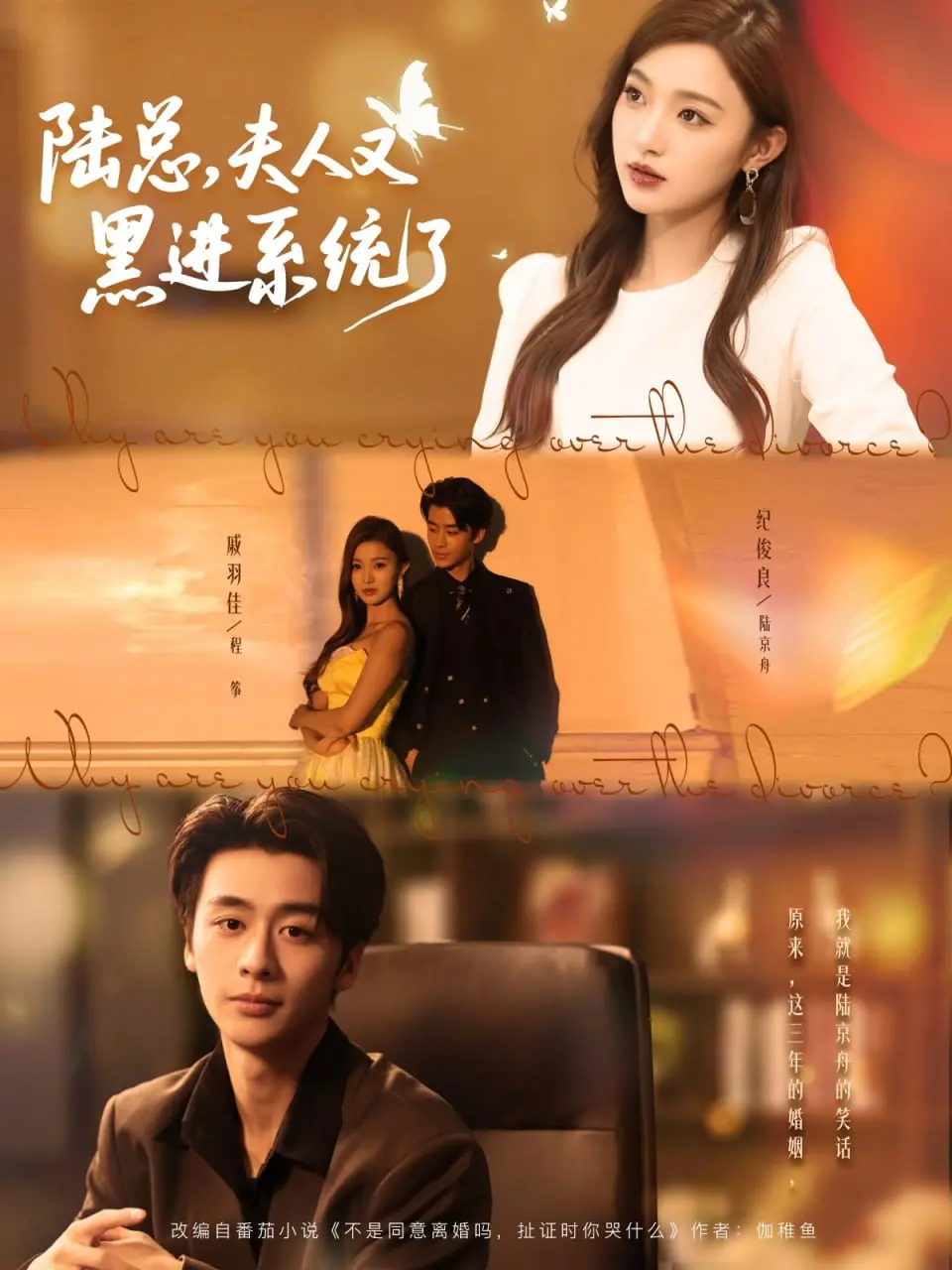 《陆总夫人又黑进系统了》：当霸道总裁遇上技术宅，一场啼笑皆非的追妻火葬场！